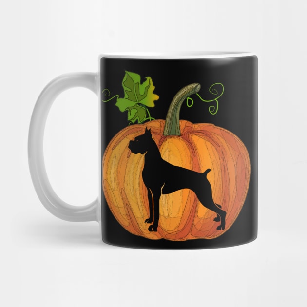 Boxer in pumpkin by Flavie Kertzmann